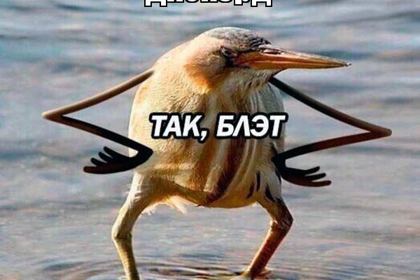 Кракен сайт как выглядит