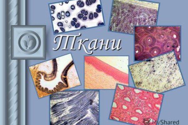 Кракен сайт ссылка kr2web in