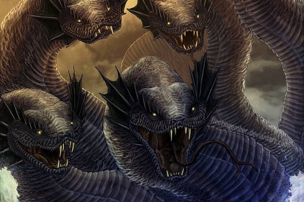 Kraken площадка